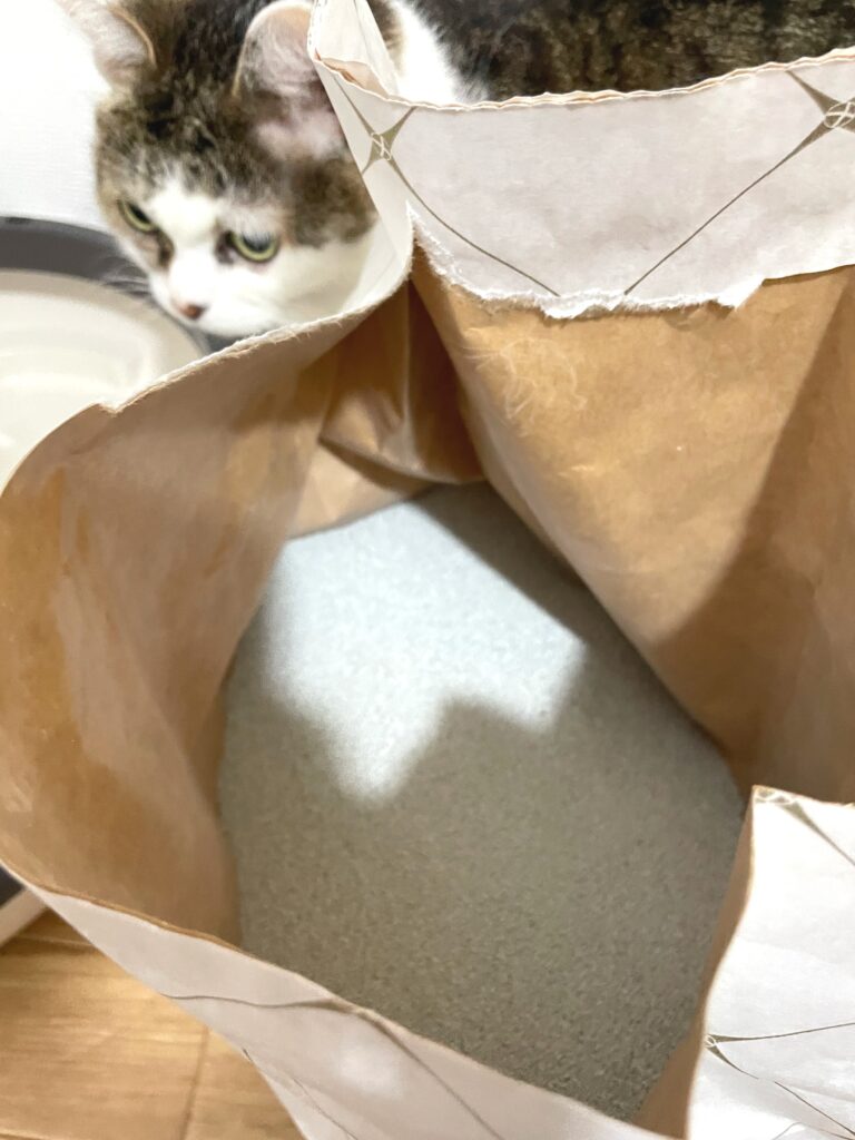 RAGDOLLプレミアムサンドは猫の習性を考えて作られた口コミの良い猫砂
